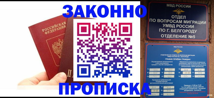 временная регистрация для школы в Апатитах